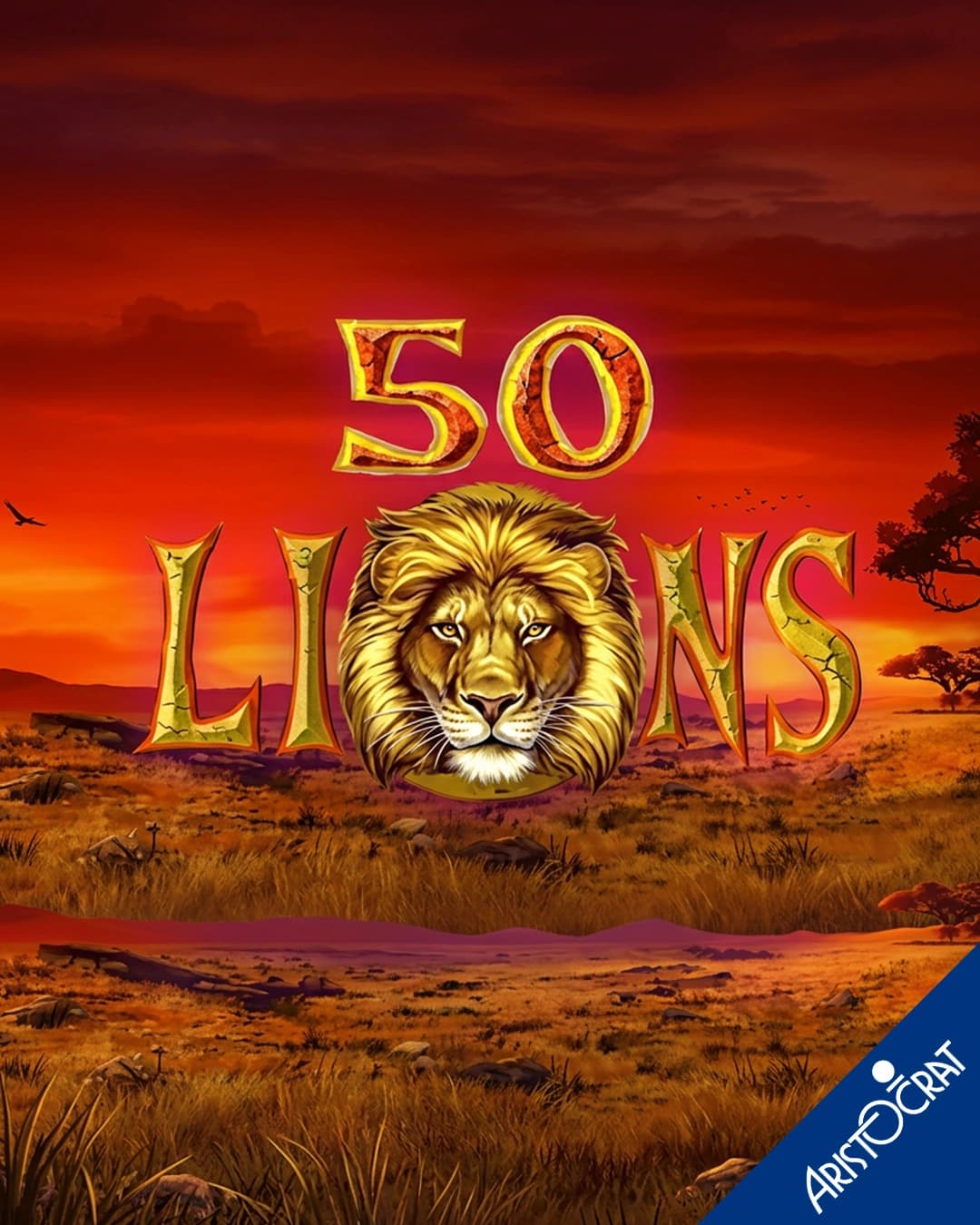 50 Lions