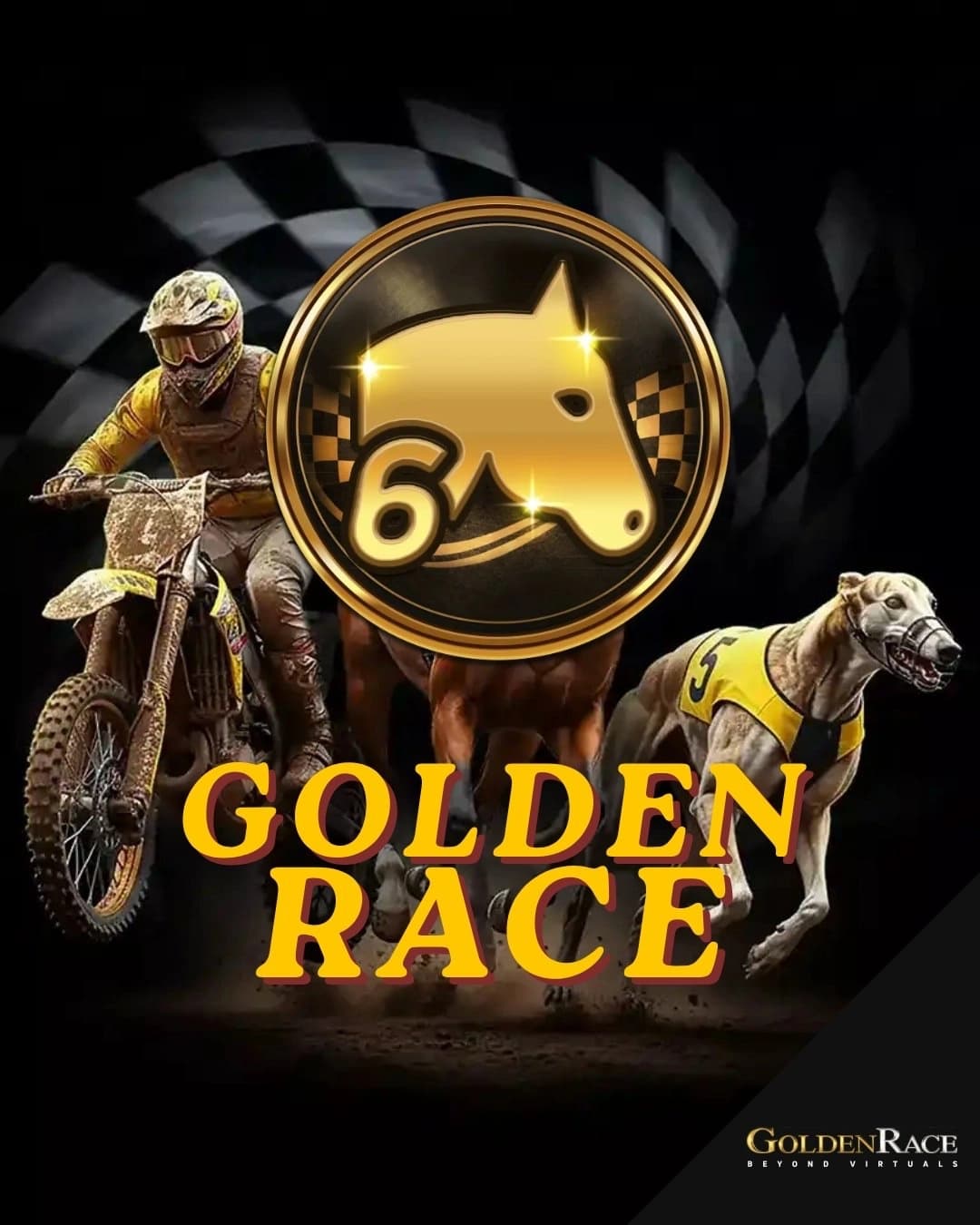 Goldenrace