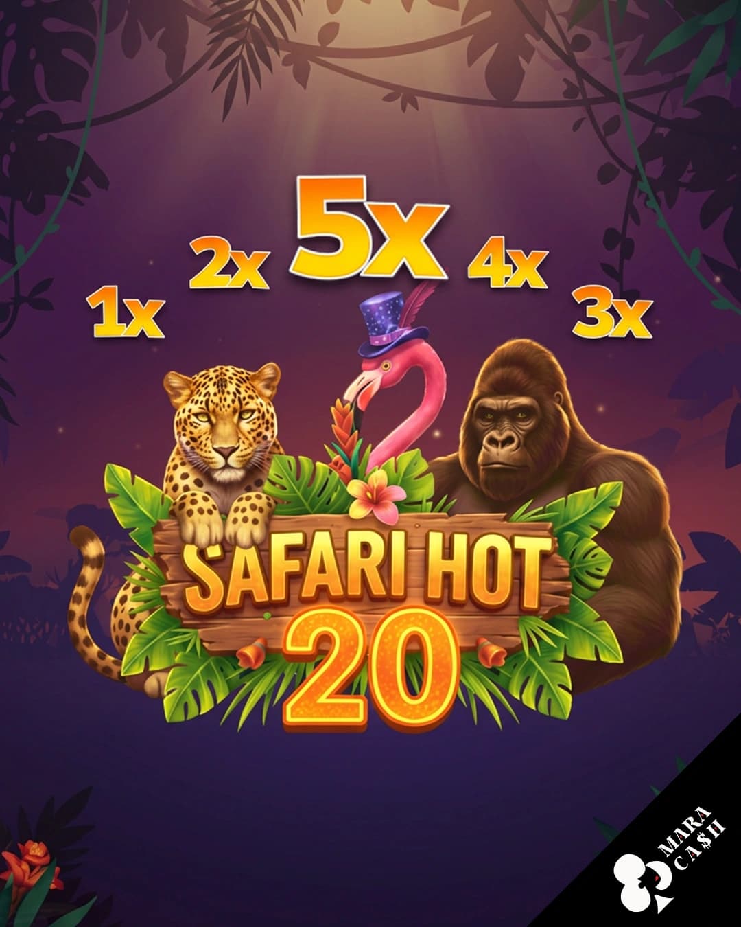 Safari Hot 20
