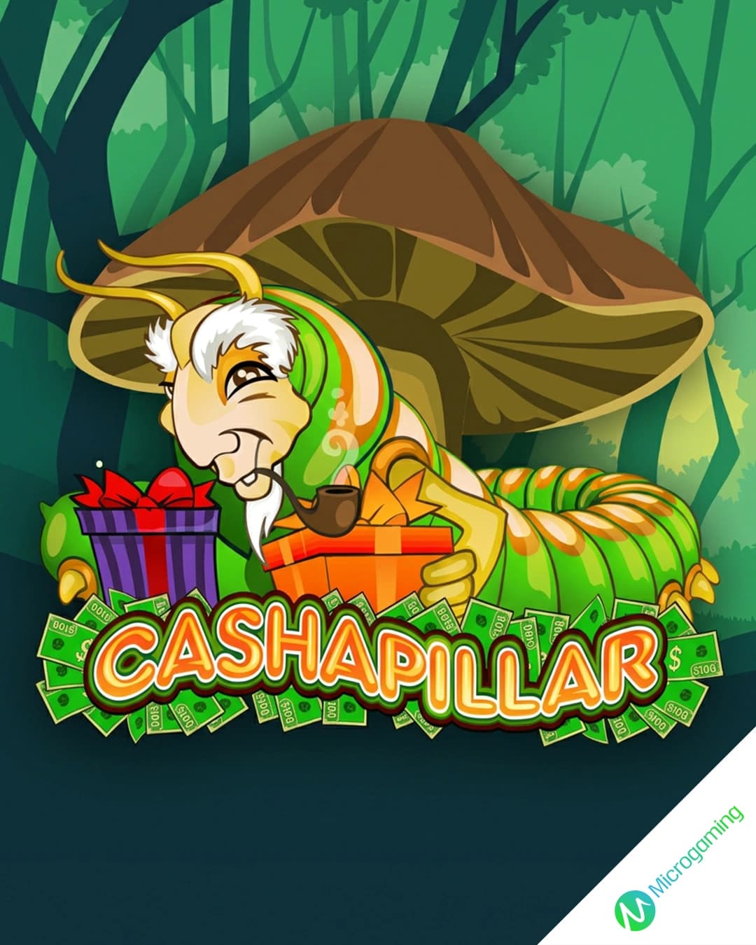 Cashapillar