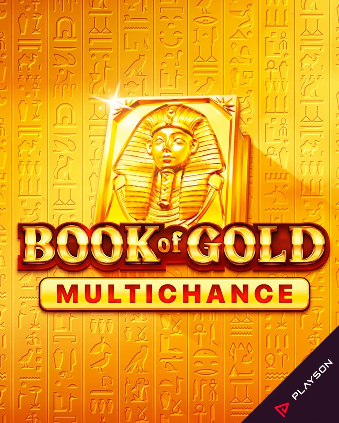 Book of Gold Multichance