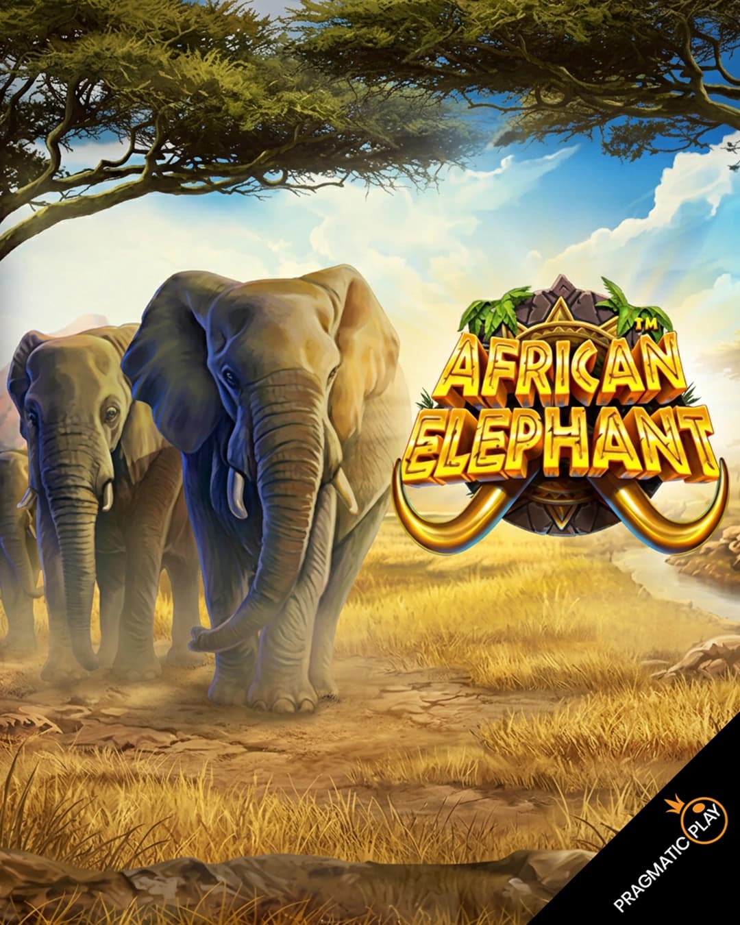 African Elephant