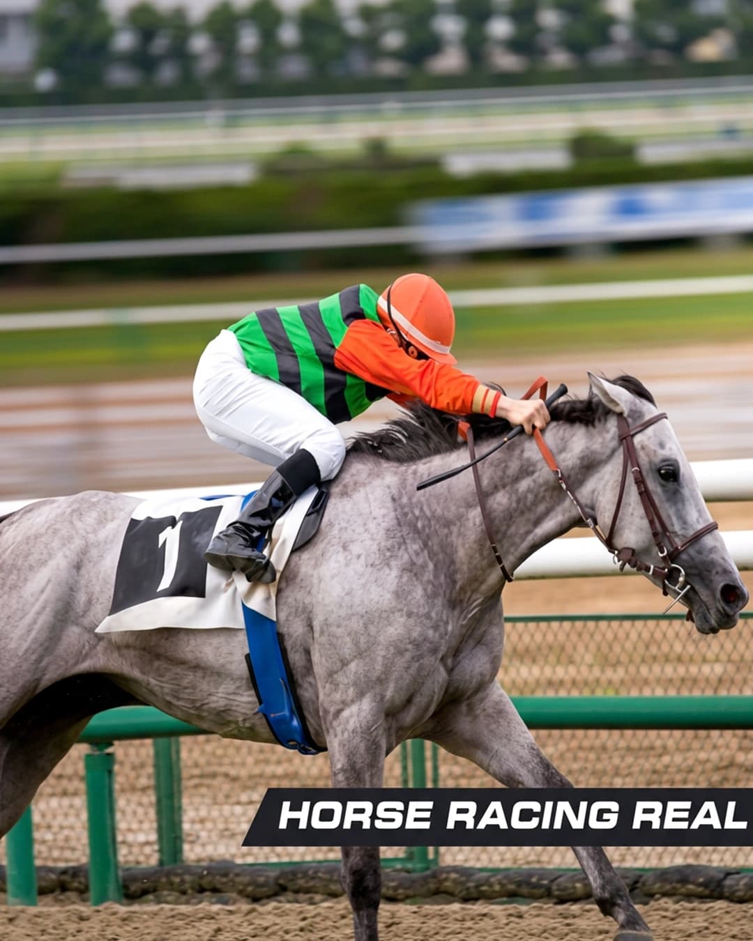 HORSE RACING REAL