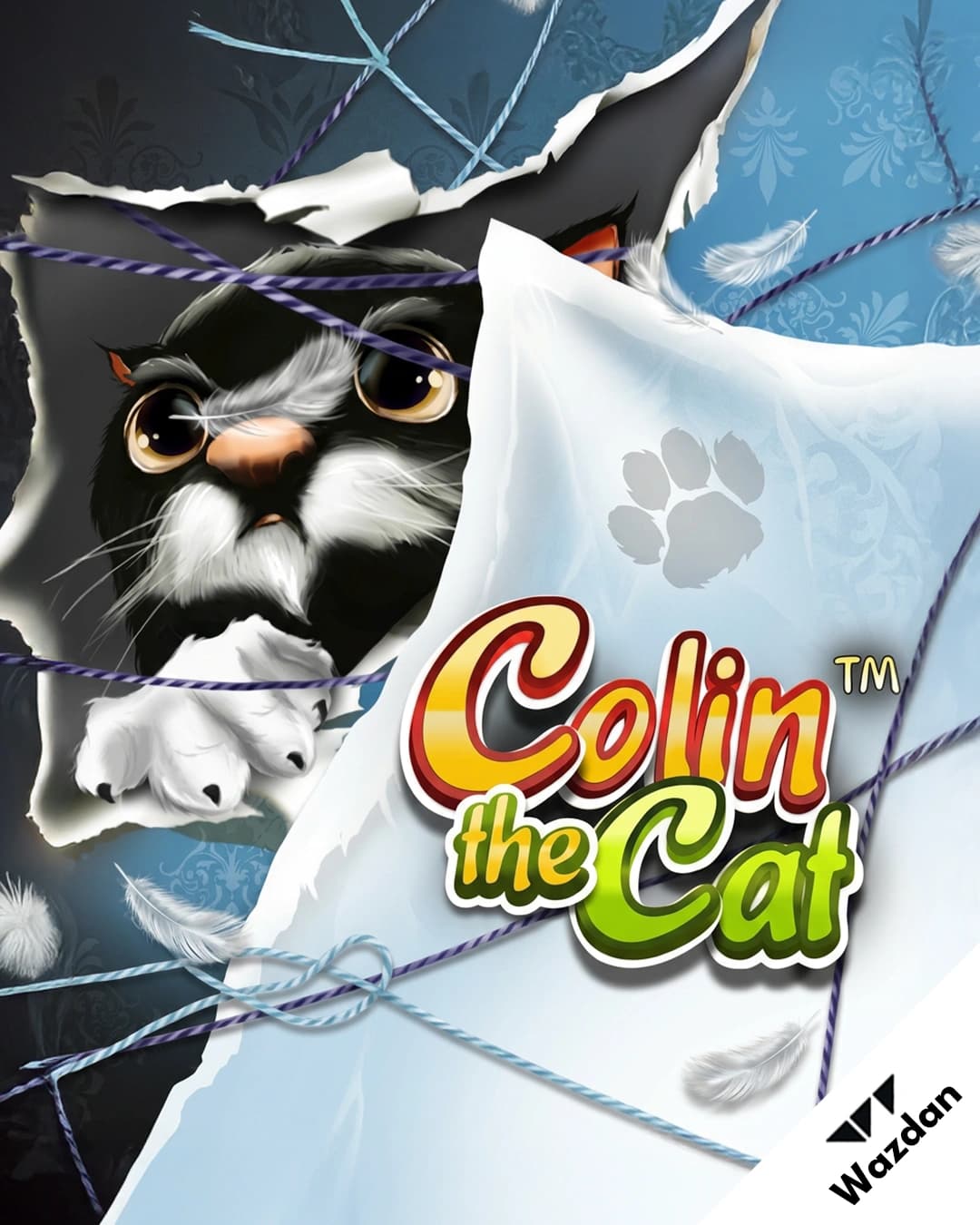 Colin the Cat